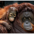 With mom