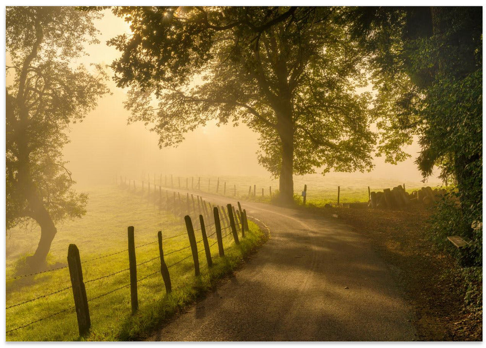 Morning walk