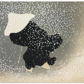 Snow from Momoyogusa