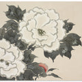 Flowers From Momoyogusa