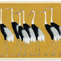 Japanese Red Crown Crane