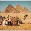 Visit to the pyramids
