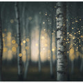 A Magic Night