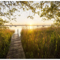 Golden Jetty