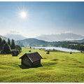 Summer Meadow
