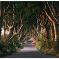 Red Avenue