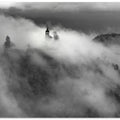 Fog