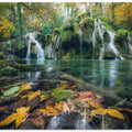 Autumn Falls