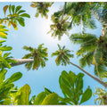 Tropical Up