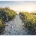 To the Beach
