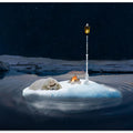 Sleeping polar bear