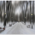 Winter park
