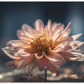 Petal Glow Essence