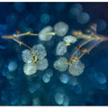 Art of nature