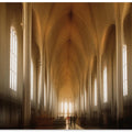 Art Prints of Lightened