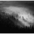 Misty