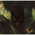 Hello Panther