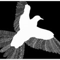 Bird Black