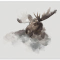 Elk
