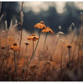 Golden Blossom Field