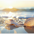 Seaside Treasures