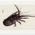 Crayfish