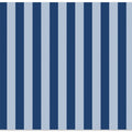 Blue Stripes