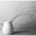 Art Prints of Pure and simple