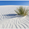 WHITE SANDS Idyllic scenery