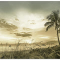 BONITA BEACH Sunset