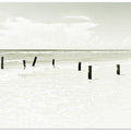 Vintage Ocean View