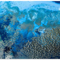 Art Prints of Revitalize