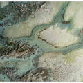 Art Prints of Evergreen