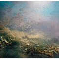 Art Prints of Sunset Symphony