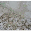 Art Prints of Life and Souls