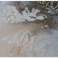 Art Prints of Life Unfolding