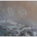Art Prints of Edge of Life