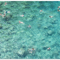Swimming in the sea