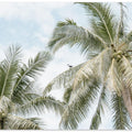 Palm tree with bird