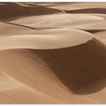 Sahara Desert