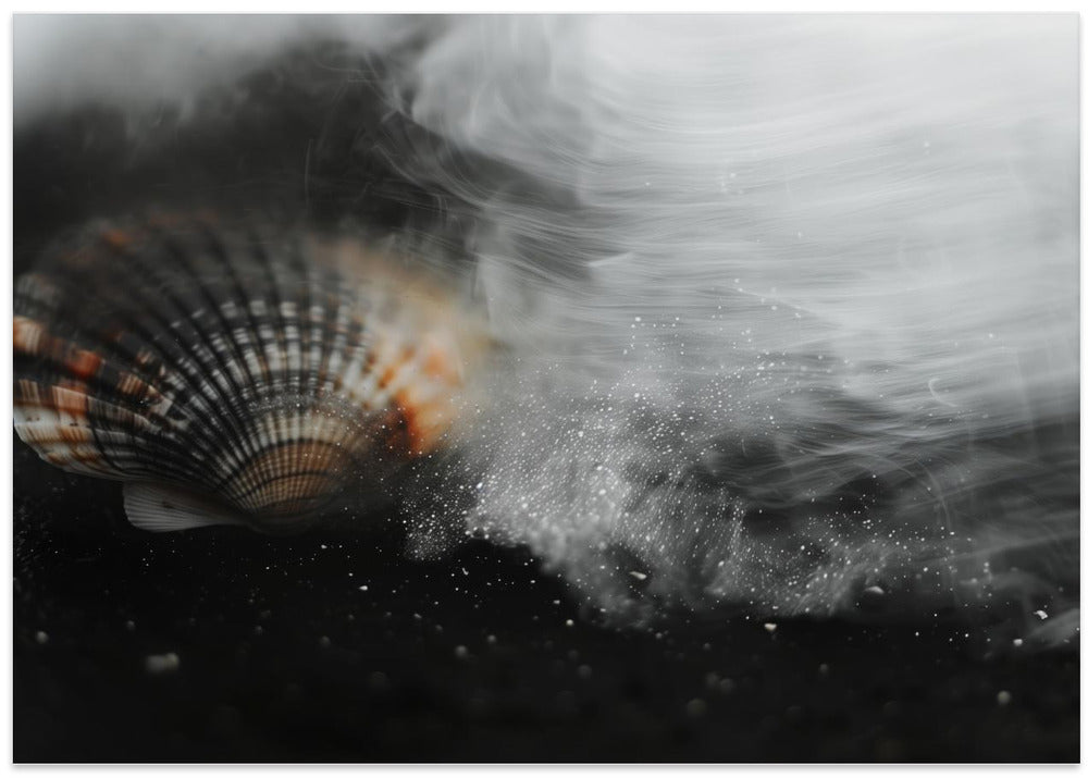 Whispering Shell