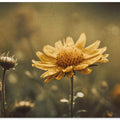 Golden Whisper