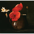 Poppies and Daisies