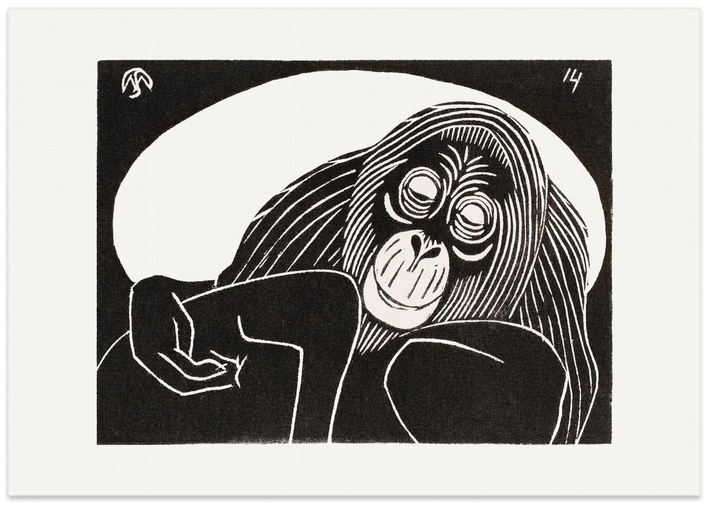 Orangutan