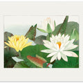 Nymphaea Lotus