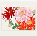 Dahlia Flower