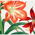 Vintage Amaryllis Flower No.2