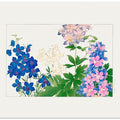 Delphinium Flower