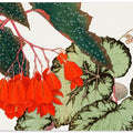 Cracklin Rosie Begonia Flower No.2