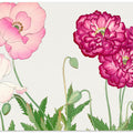 Vintage Poppy Flower No.2